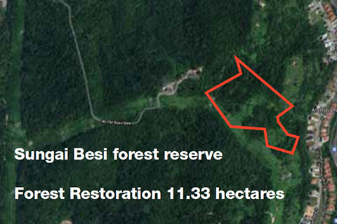 Forest Restoration 11.33 hectares Image